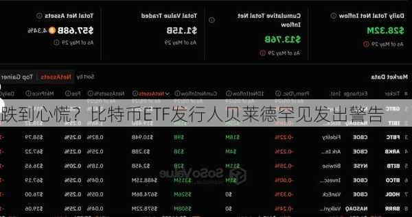 跌到心慌？比特币ETF发行人贝莱德罕见发出警告