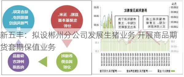 新五丰：拟设郴州分公司发展生猪业务 开展商品期货套期保值业务