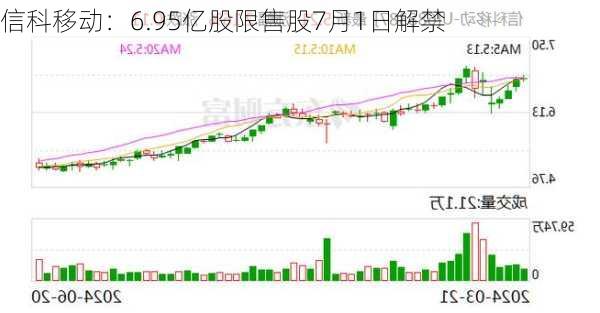 信科移动：6.95亿股限售股7月1日解禁