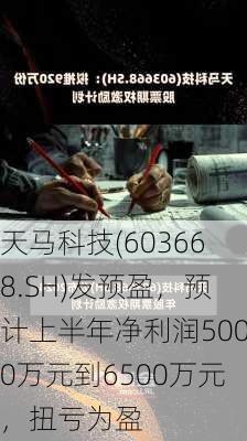 天马科技(603668.SH)发预盈，预计上半年净利润5000万元到6500万元，扭亏为盈