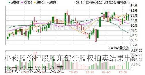 小崧股份控股股东部分股权拍卖结果出炉 控制权未发生变更