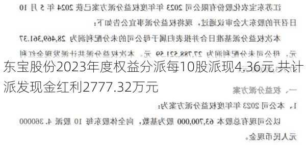 东宝股份2023年度权益分派每10股派现4.36元 共计派发现金红利2777.32万元