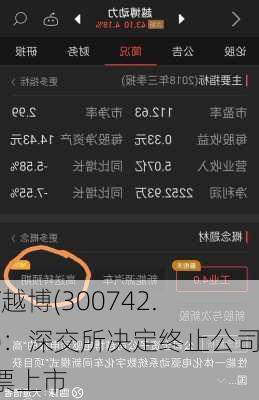 *ST越博(300742.SZ)：深交所决定终止公司股票上市