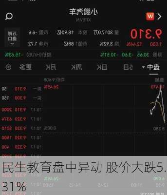 民生教育盘中异动 股价大跌5.31%