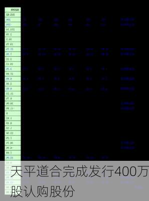 天平道合完成发行400万股认购股份