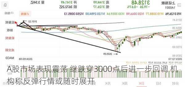 A股市场表现震荡 继跌穿3000点后进一步回调 机构称反弹行情或随时展开