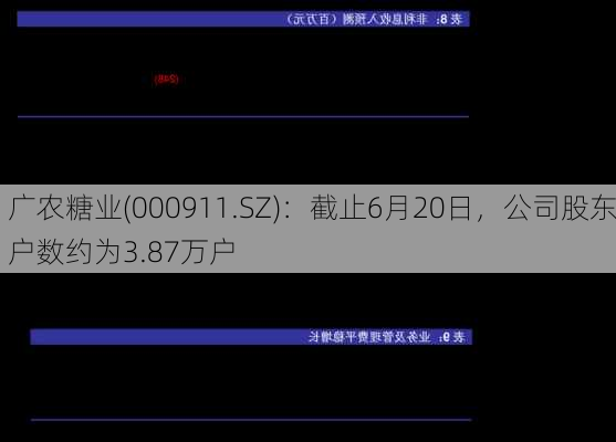 广农糖业(000911.SZ)：截止6月20日，公司股东户数约为3.87万户