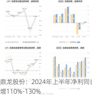 鼎龙股份：2024年上半年净利同比预增110%-130%