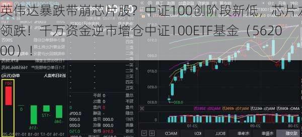 英伟达暴跌带崩芯片股？中证100创阶段新低，芯片龙头领跌！千万资金逆市增仓中证100ETF基金（562000）！