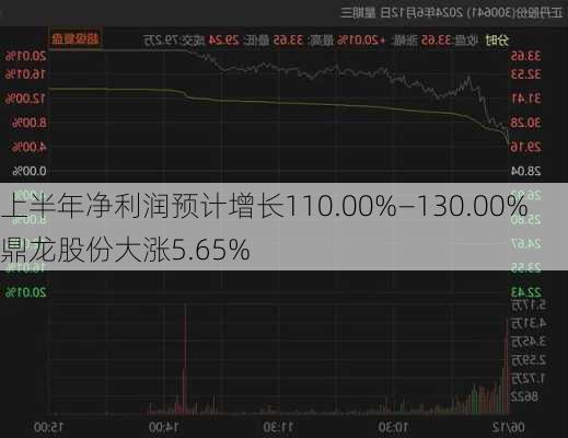 上半年净利润预计增长110.00%—130.00% 鼎龙股份大涨5.65%