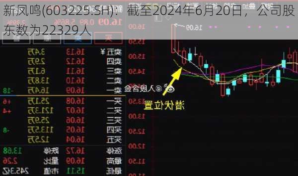 新凤鸣(603225.SH)：截至2024年6月20日，公司股东数为22329人