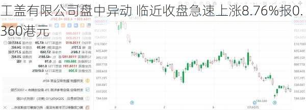 工盖有限公司盘中异动 临近收盘急速上涨8.76%报0.360港元