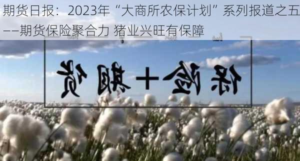 期货日报：2023年“大商所农保计划”系列报道之五――期货保险聚合力 猪业兴旺有保障