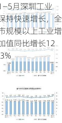 1—5月深圳工业保持快速增长，全市规模以上工业增加值同比增长12.3%