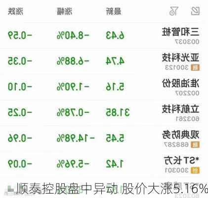 顺泰控股盘中异动 股价大涨5.16%