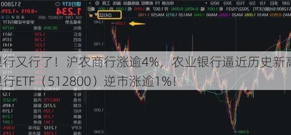 银行又行了！沪农商行涨逾4%，农业银行逼近历史新高，银行ETF（512800）逆市涨逾1%！