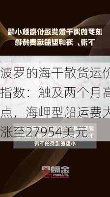 波罗的海干散货运价指数：触及两个月高点，海岬型船运费大涨至27954美元