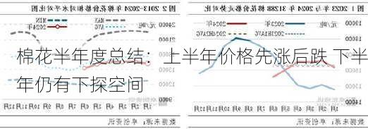 棉花半年度总结：上半年价格先涨后跌 下半年仍有下探空间