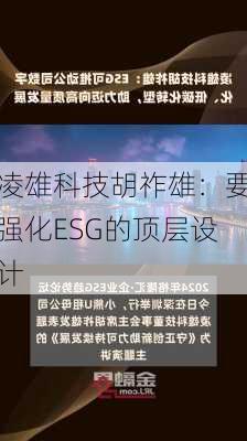 凌雄科技胡祚雄：要强化ESG的顶层设计