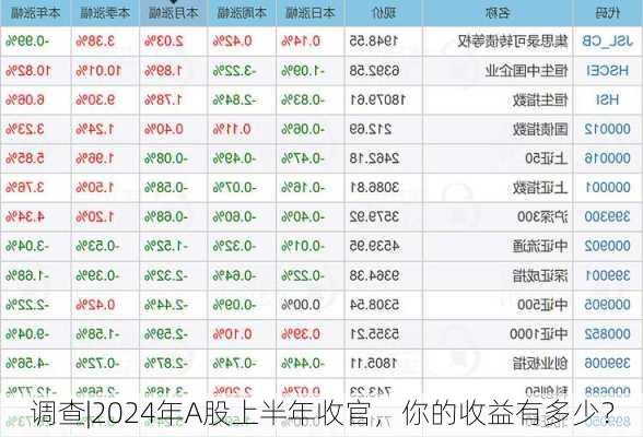 调查|2024年A股上半年收官，你的收益有多少？