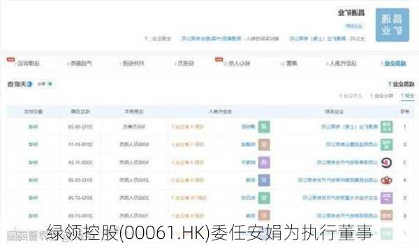 绿领控股(00061.HK)委任安娟为执行董事