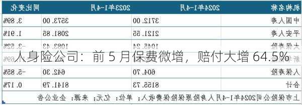 人身险公司：前 5 月保费微增，赔付大增 64.5%