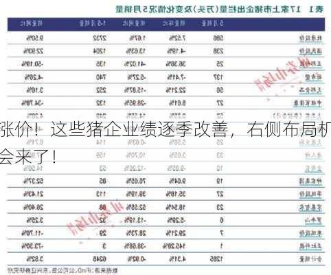 涨价！这些猪企业绩逐季改善，右侧布局机会来了！