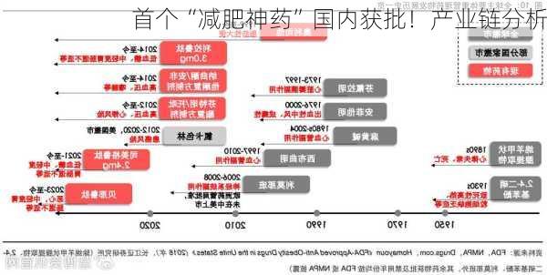 首个“减肥神药”国内获批！产业链分析