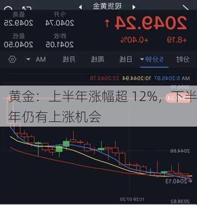 黄金：上半年涨幅超 12%，下半年仍有上涨机会