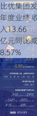 比优集团发布年度业绩 收入13.66亿元同比减少8.57%