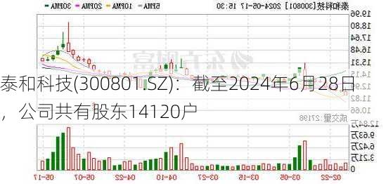 泰和科技(300801.SZ)：截至2024年6月28日，公司共有股东14120户