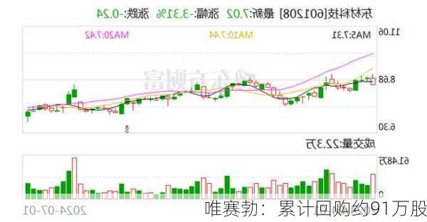 唯赛勃：累计回购约91万股