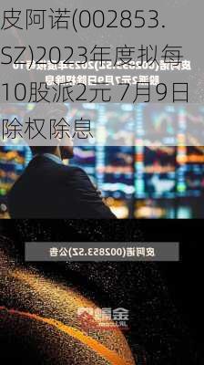 皮阿诺(002853.SZ)2023年度拟每10股派2元 7月9日除权除息