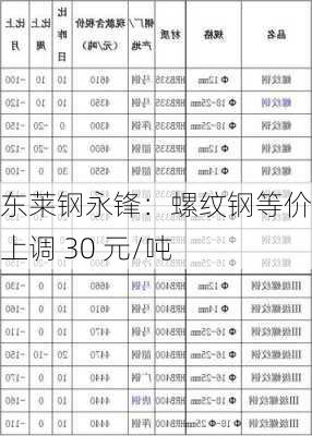 山东莱钢永锋：螺纹钢等价格上调 30 元/吨