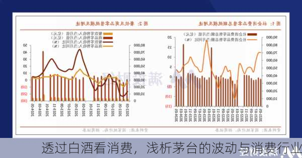 透过白酒看消费，浅析茅台的波动与消费行业