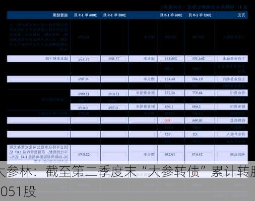 大参林：截至第二季度末“大参转债”累计转股6051股