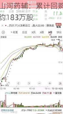 山河药辅：累计回购约183万股