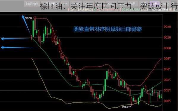 棕榈油：关注年度区间压力，突破或上行