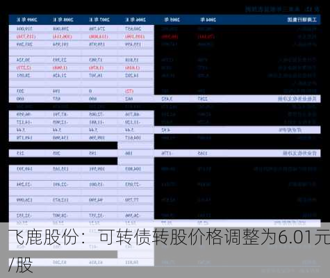 飞鹿股份：可转债转股价格调整为6.01元/股