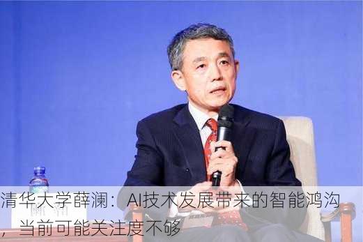 清华大学薛澜：AI技术发展带来的智能鸿沟，当前可能关注度不够