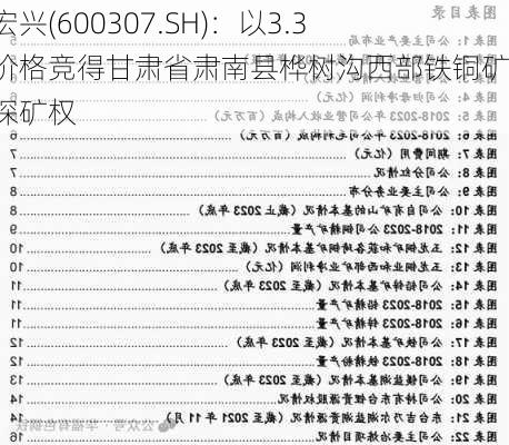 酒钢宏兴(600307.SH)：以3.3亿元价格竞得甘肃省肃南县桦树沟西部铁铜矿详查探矿权