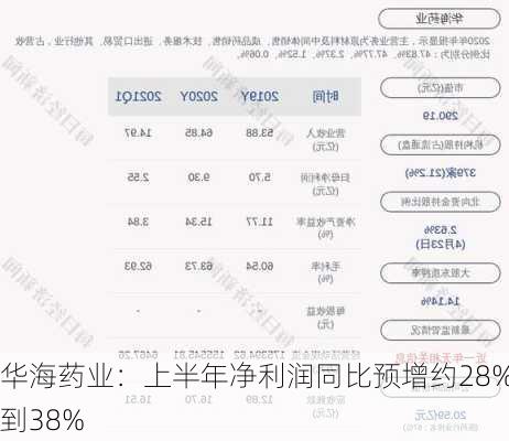 华海药业：上半年净利润同比预增约28%到38%