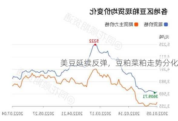 美豆延续反弹，豆粕菜粕走势分化