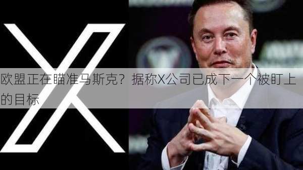 欧盟正在瞄准马斯克？据称X公司已成下一个被盯上的目标