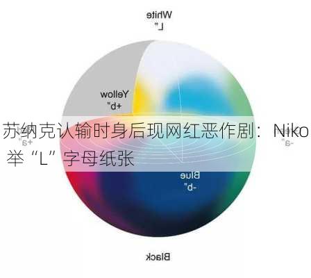 苏纳克认输时身后现网红恶作剧：Niko 举“L”字母纸张