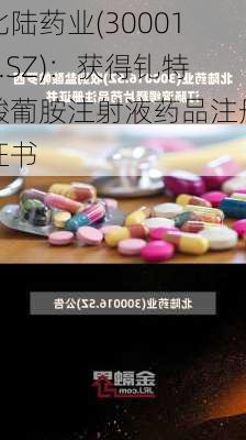 北陆药业(300016.SZ)：获得钆特酸葡胺注射液药品注册证书