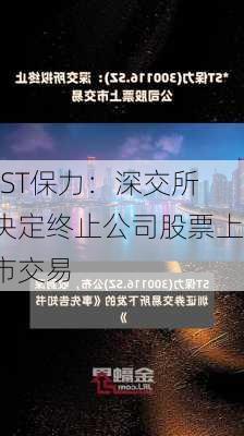 *ST保力：深交所决定终止公司股票上市交易