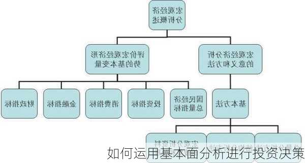 如何运用基本面分析进行投资决策