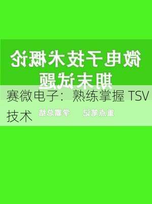 赛微电子：熟练掌握 TSV 技术