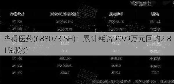 毕得医药(688073.SH)：累计耗资9999万元回购2.81%股份